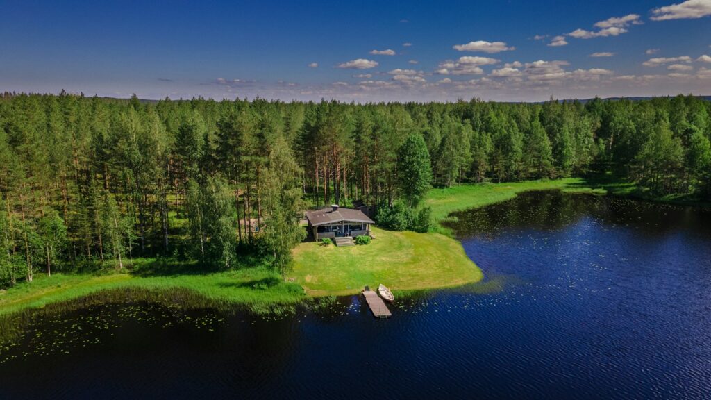 Green pine trees near body of water during daytime