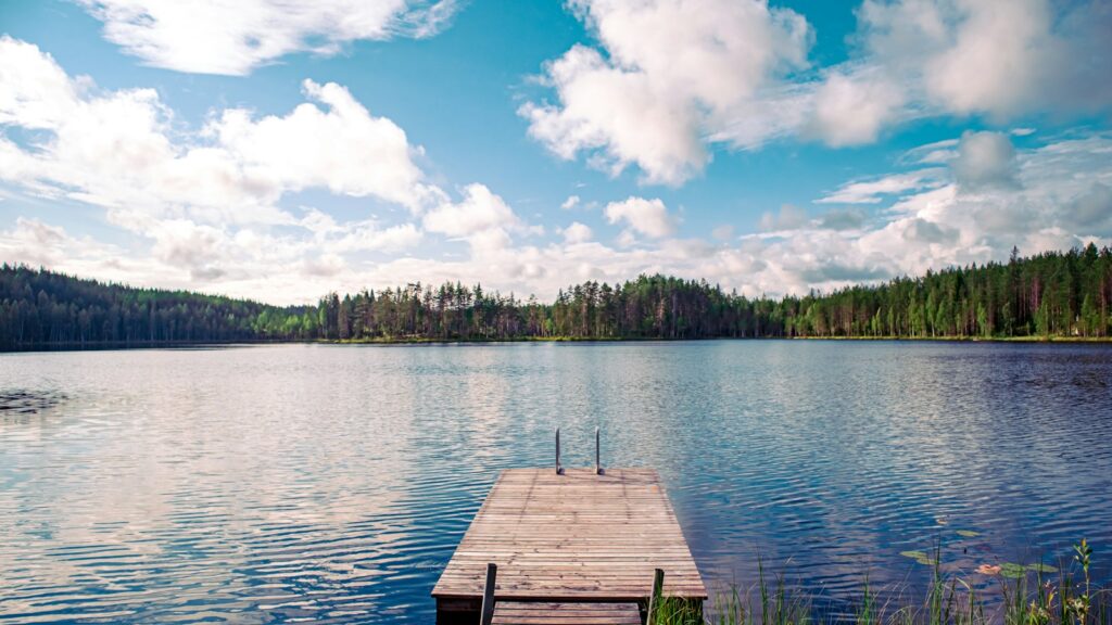 Brown wooden dock on lake during daytime