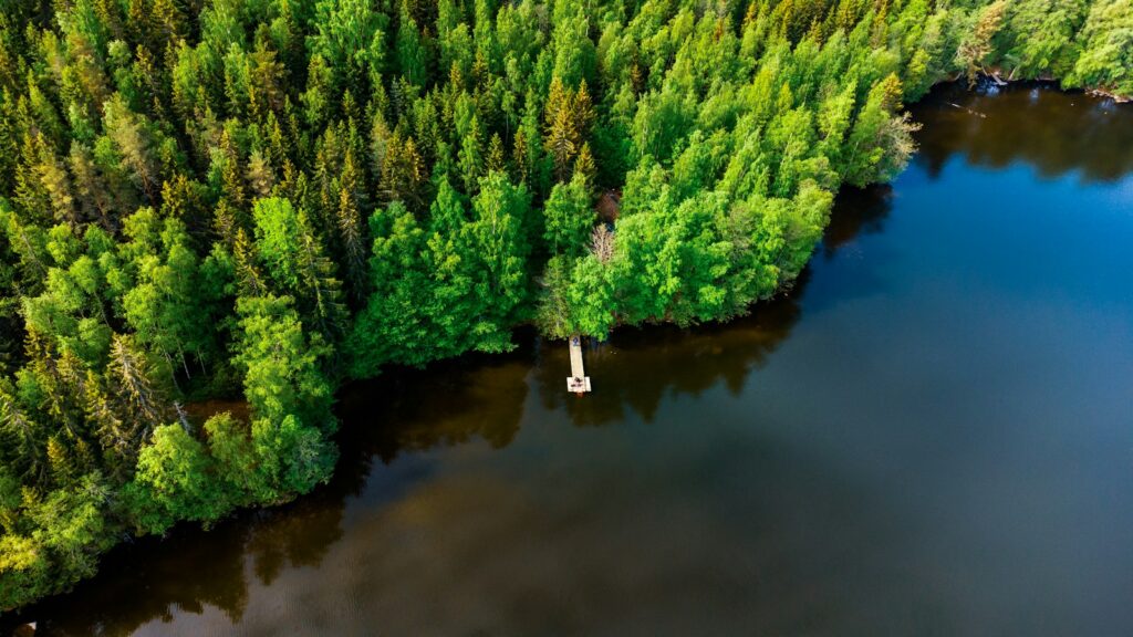 An aerial view of a lake surrounded by trees